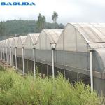 Vegetable Multiple Tunnel Plastic Film Sheet Covering Multi Span Greenhouse