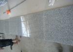 Commercial Grey Large Granite Slabs , 60 X 60 Countertop Granite Tile