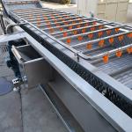 Water Recycling 400kg 800kg/H Leafy Vegetable Washing Machine