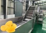 SUS 316L Mango Jam Juice Processing Machine 10 - 100T/D Turnkey Service