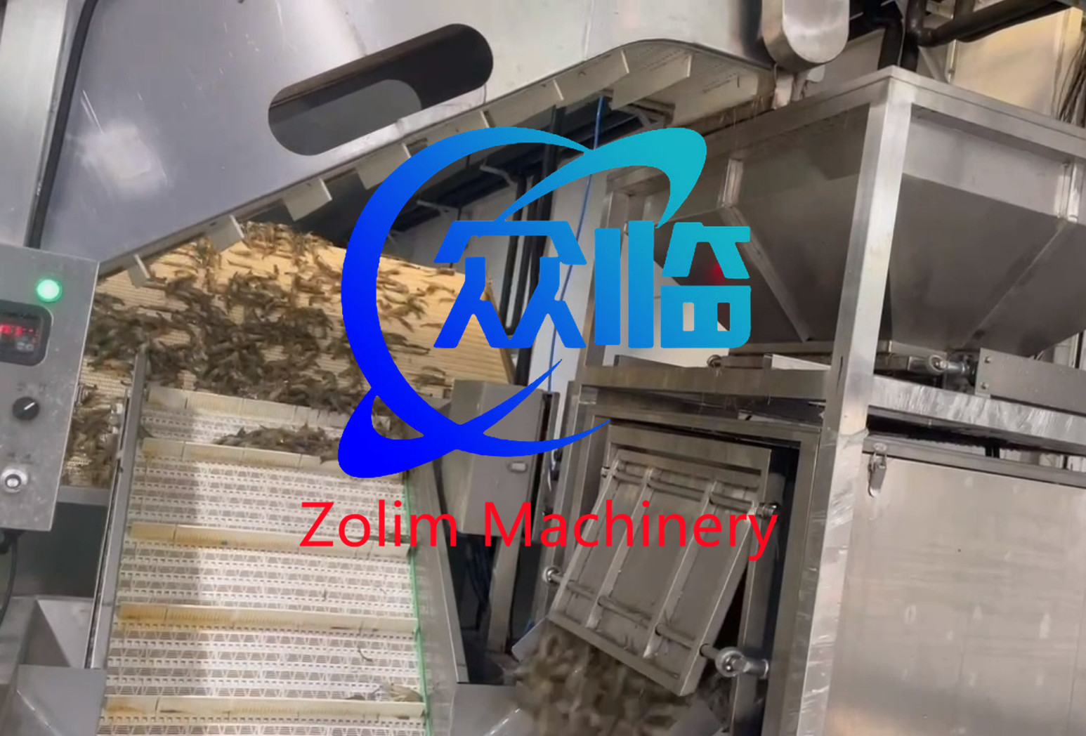 Hot Sale Fish Raw Material Weighing Machine For Weighing Speed 1-18 times/min