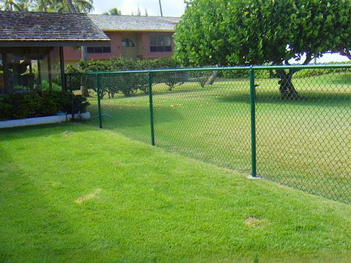 Heavy Duty 2''X 2'' Chain Link Fence 9 Gauge Galvanized 50ft X 8ft Diamond Wire