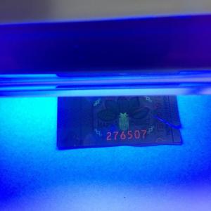 China Customized Adhesive Security Tax Stamp Label with Invisible UV Surface Finishing wholesale