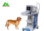 Portable Full Digital Veterinary Ultrasound Scanner For Cattle Caw Dog Animal