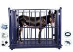 Digital Zemic LCD Cattle Weighing Scales Stainless Steel