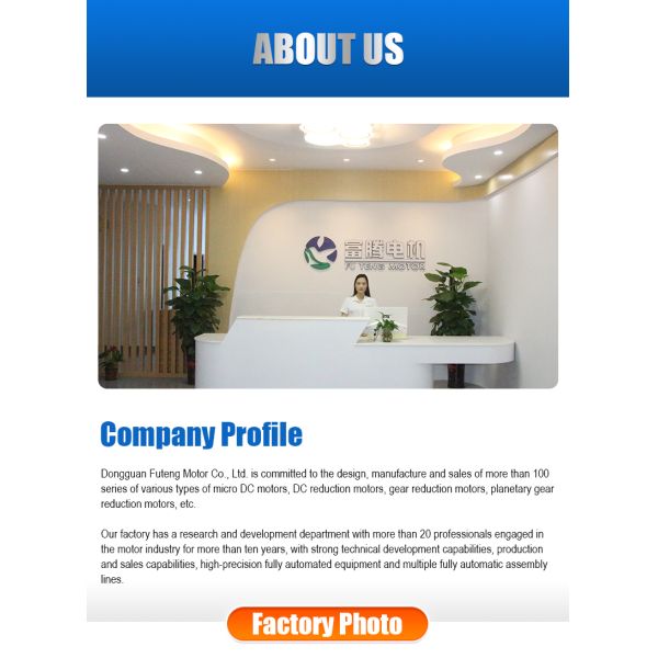 Customization Low Noise High Torque Planetary Gear Motors