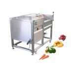 Joyshine Electric Pumpkin Peeler Machine for Seafood Washing and Small Fish