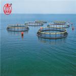 PE Bracket Hdpe Fish Cage , Hdpe Pipe And Fittings Quick Installation