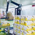 20kg Carton Automatic Arm Robot Palletizer Carton Bag Suction Cover Palletizing