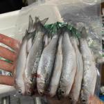 7Layer Coextruded Medium Barrier Shrink Film Anti Fog for Food Wrapping