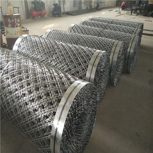 Hot Dip Galvanized Barbed Razor Wire with 2.5mm Wire Diameter for Protective Construction