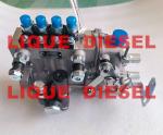 Diesel Pump BH4QT95R9 kangda pump