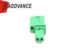 3C0973332C 2 Pin Male Green PA66 FEP Electrical Connector Housing For VW Audi