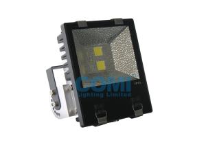 China 100W LED Flood Lights IP65 Waterproof For Garden Tunnel Football Field wholesale