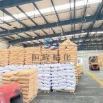 High Quality Water Treatment Chemical Cationic Polyacrylamide Flocculant for