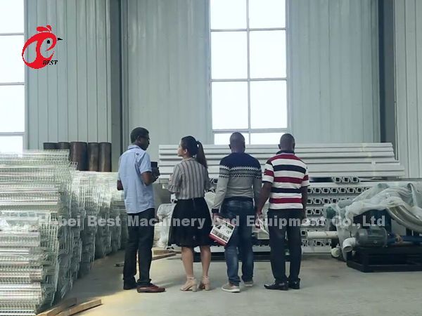 Semi Automatic Poultry Layer Cage 15000 Birds Manual Poultry Cage In Nigeria Iris