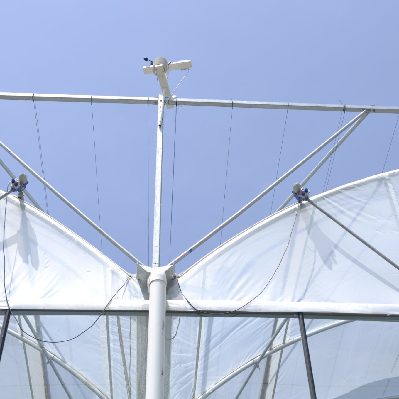 plastic film Hobby Structure Multispan Tunnel Plastic Greenhouse