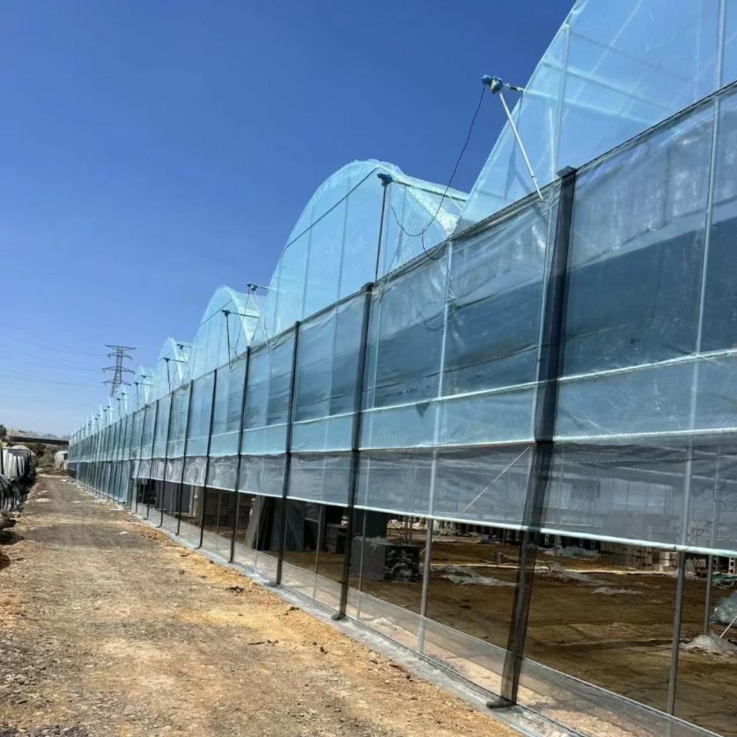 Trademarked Hydroponic Drip Irrigation Greenhouse Kit