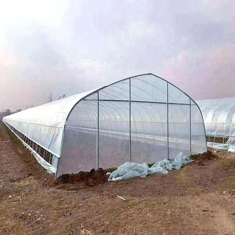 Low Tunnel Plastic Film Galvanized Steel Frame Structure Greenhouse For Sale