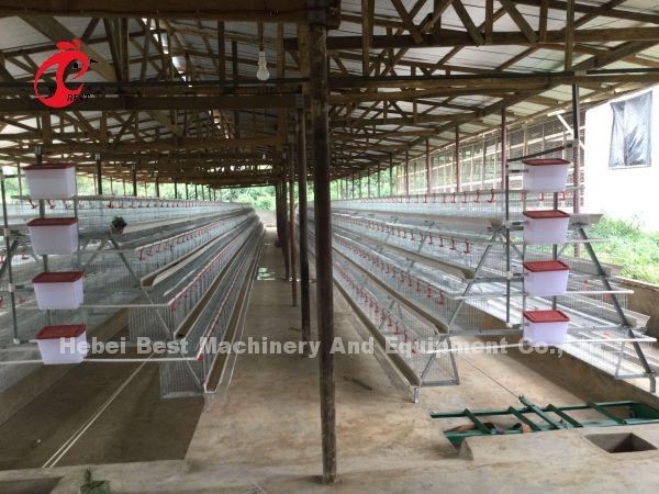 Stainless Steel Wire Battery Cage For Chicken 432cm2 Area Bird Adela