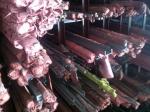 Hot Rolled Metal Flat Bar , SS 316L Mild Steel Flat Bar For Bridges
