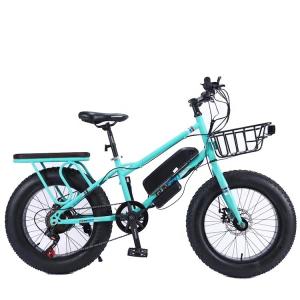 China 20&quot; 500W 48V13AH OEM/ODM EN15194 Disc Brake Electric Bike for Small Kids' Outdoor Fun wholesale