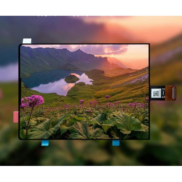 Extreme Thinness and Ultra - Clear Vision：3.92 - inch AMOLED Ultra - thin Display with 1080*1240 Resolution Lights Up a Remarkable Visual Experience