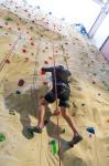 10pcs Gecko King Mini Adult Indoor Climbing Wall Rock Climbing Holds in Training
