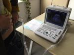 Portable Pregnancy Ultrasound Scanner Intelligent Zoom 12 " LCD Hand-carried