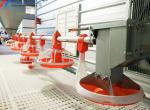 KXD Poultry House Equipment Automatic Broiler Feeding System For Broilers /