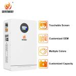51.2V 200Ah 10.24Kwh Wall Mounted Lifepo4 Battery for Household Solar Systems
