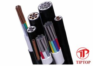 China ASTM A269 PVC Covered 304L Multi Core Tubing wholesale