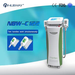 China Membrane per Criolipolisi Cryo Fat Freezing Weight Loss Body Slimming Machine wholesale