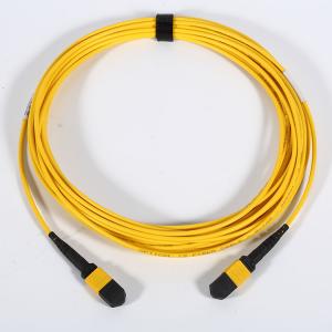 China MPO MTP Fiber Optic Patch Cable 0.5dB Insertion Loss PVC Jacket 12 / 24 Cores wholesale