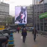 High Brightness Advertising Led Mesh Screen IP65 Outdoor P15.625mm