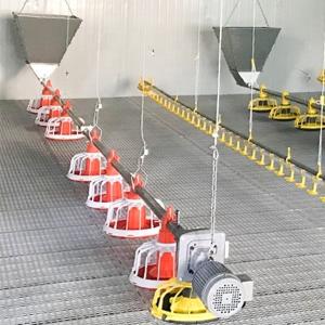 China 12 Birds 60HZ Poultry Farm Feeding System wholesale