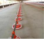 ABS Chicken Feeder Pan Automatic Pan Feeding System Red Or Yellow