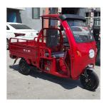 Electric Motor Battery Cargo Ghana Adult Motorcycle Tricycle with Grade Ability