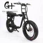 Disc Brake 20 Inch 750w 1000w Dual Battery Electric Fat Tire Mountain Bike