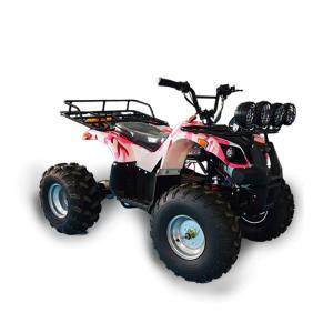China Steel Material Riding Beach Vehicle For Public Games Center Charging Time 4-6h wholesale