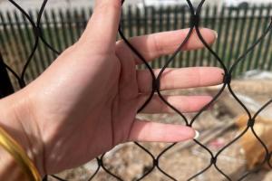 China Green Aviary Wire Mesh 30*30mm Stainless Steel Aviary Mesh 2.0mm Wire Diameter wholesale