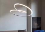 Metal Aluminum Interior Decoration Chandelier Lighting Fixtures large led