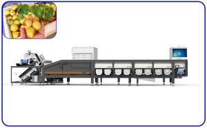 China High Speed Dates Sorting Machine Optical 6.3KW 380V 6 Lanes wholesale