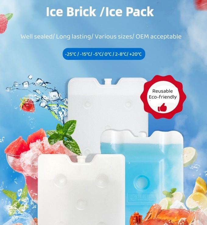 MSDS Lunch Box Freezer Blocks 500ml 600ml Picnic Ice Blocks