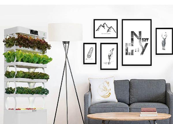 LED Plant Lighting Smart Hydroponics System , Garden Bamboo Indoor Growing