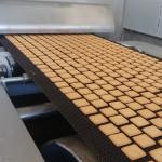 SIEMENS Motor 1200mm Food Bakery Equipment / Pita Bread Tunnel Oven