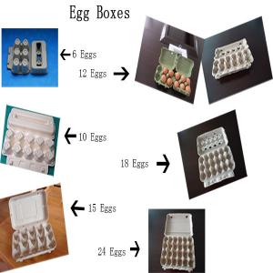 Egg box forming mould producer from China