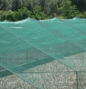 China agriculture insect net,40x30mesh,105gr/sqm,4m width wholesale