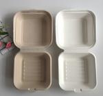 8'' 9" Clamshell Food Containers Sugarcane Food Box Bio Take Away Burger Box
