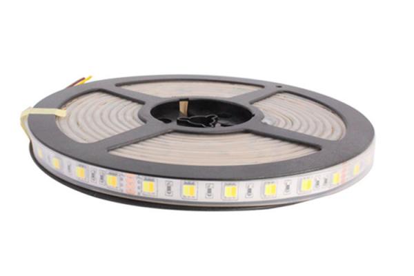 WW CW Color Temperature Adjustable 24v Led Strip Lights Waterproof IP67 CCT